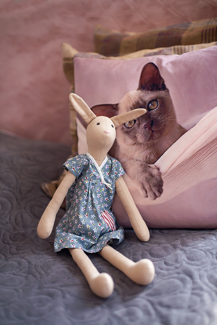 Handmade cloth rabbit in front of scatter cushion with cat motif