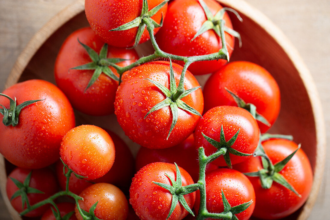 Freshly washed tomatoes in a wooden bowl