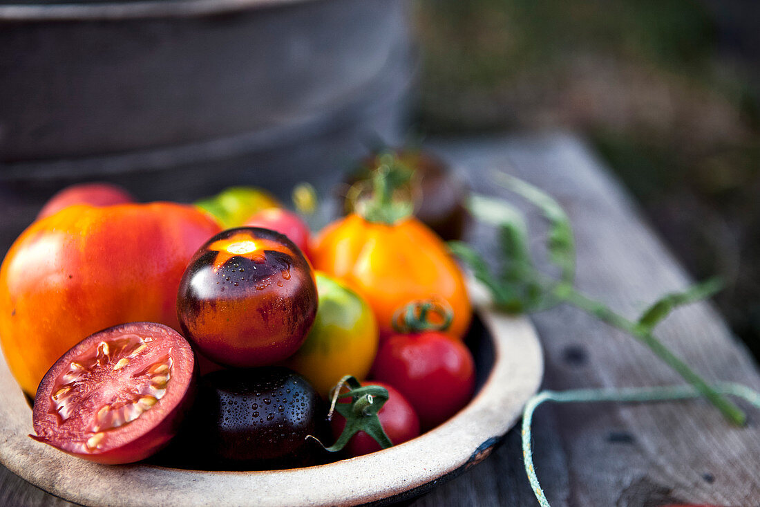 Verschiedene Tomaten in Schüssel auf Holzuntergrund