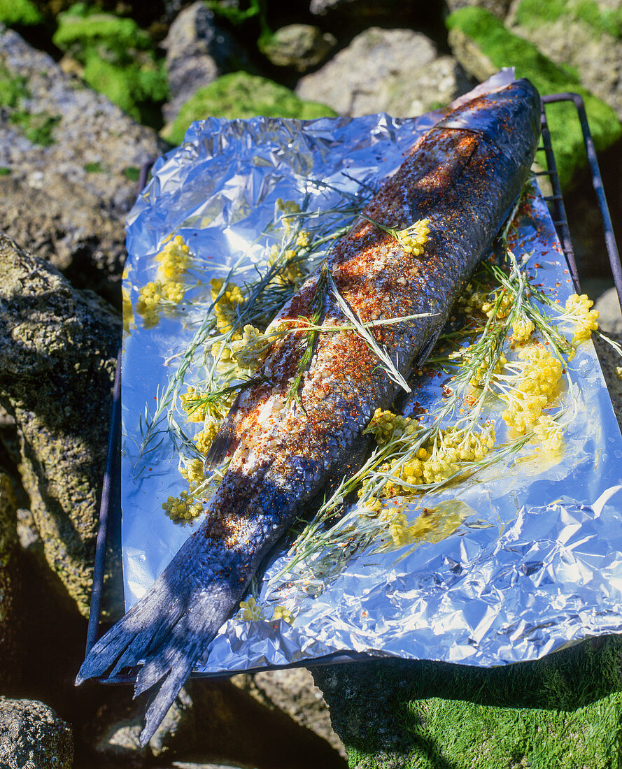 Gewürzter Seebarsch und Strohblumen auf Alufolie zum Grillen