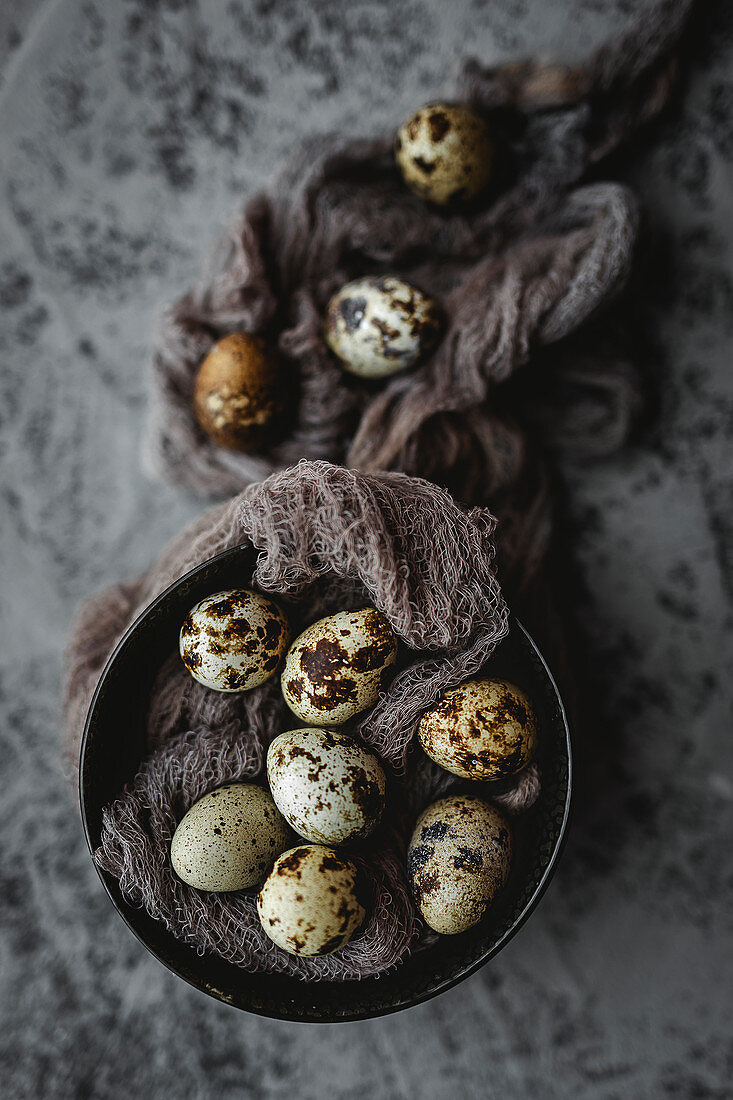 Fresh quail eggs on gray background