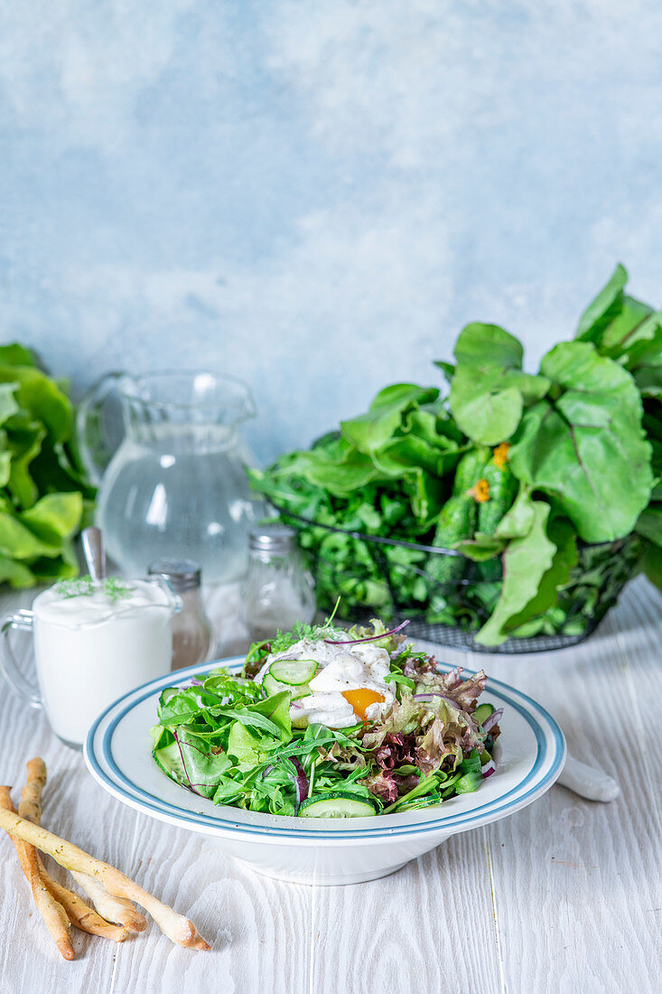 Grüner Blattsalat mit Gurken und pochiertem Ei