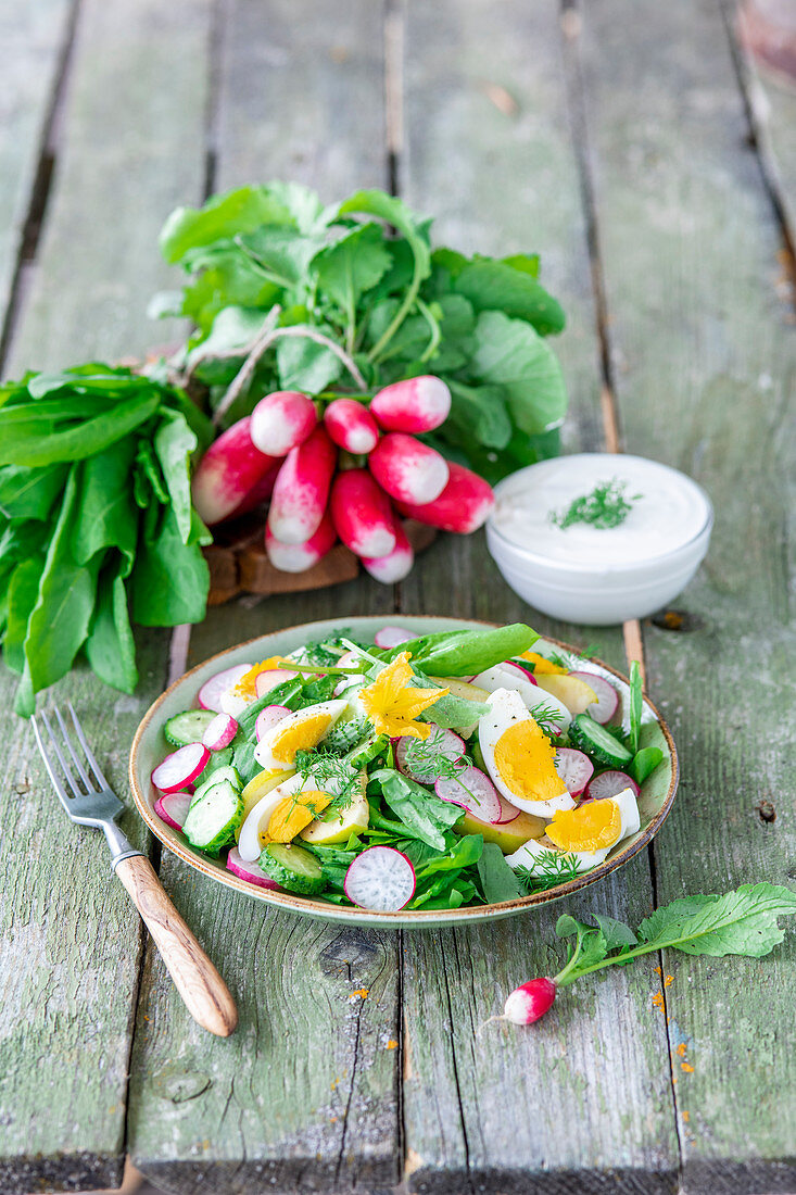 Frühlingssalat mit Radieschen, Gurken und Eiern