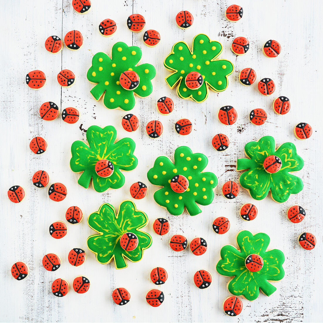Ladybirds on lucky clover biscuits