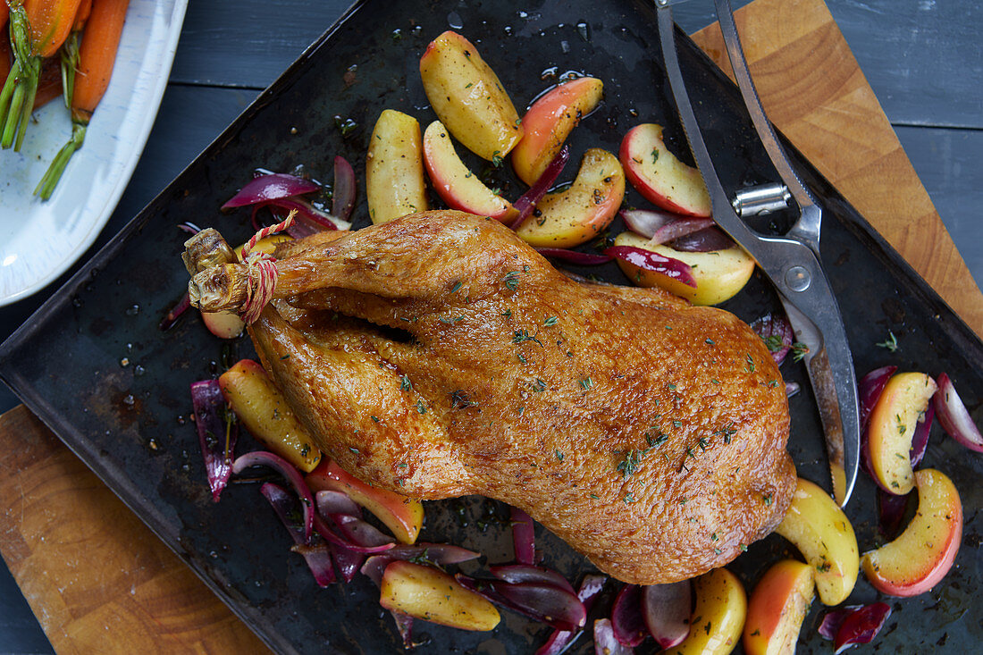 Roast duck with apple and onions