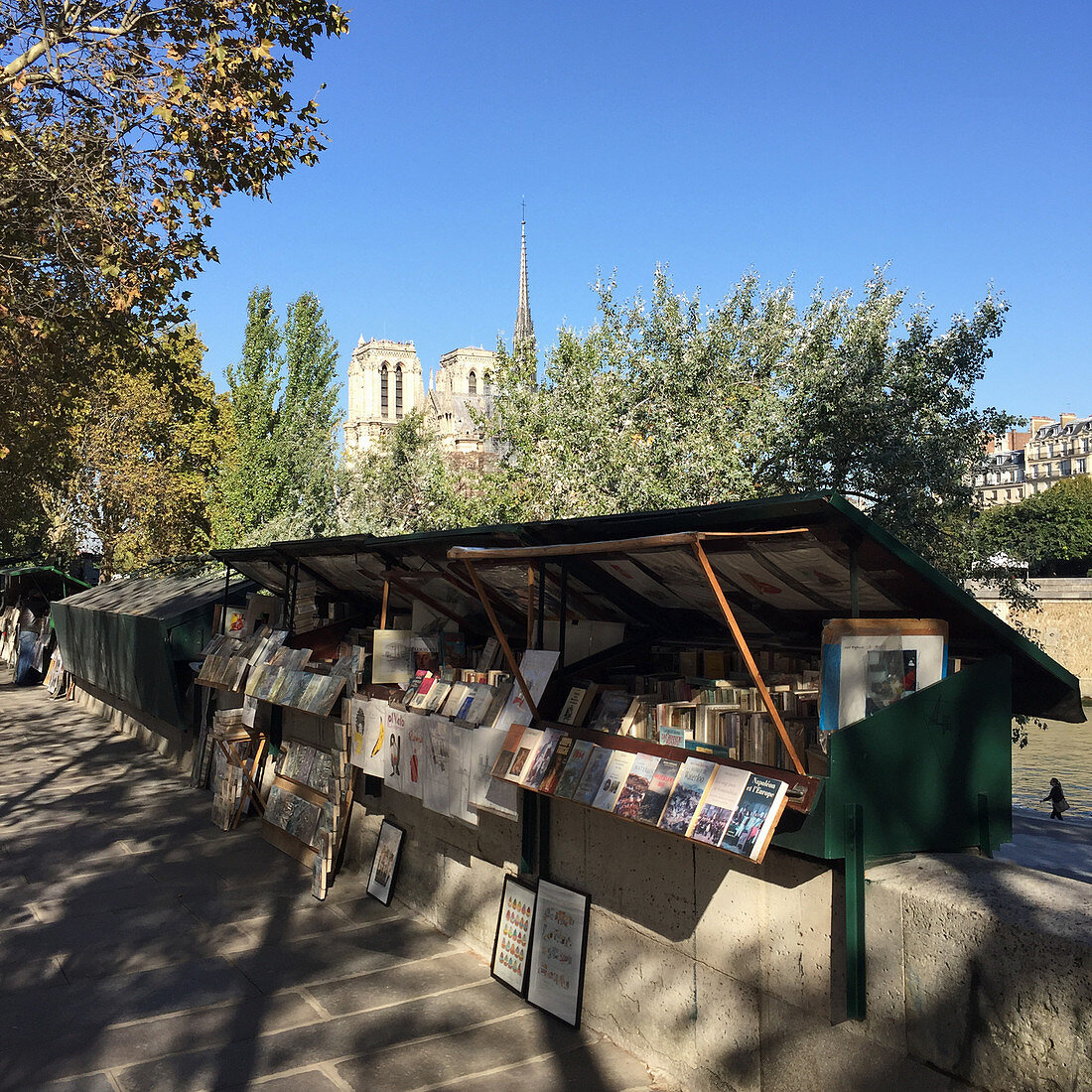 A book stall on the bank of the Seine with the Notre Dame cathedral in the background, Paris, France