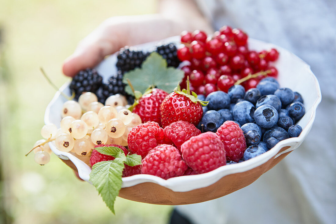 A hand holding a bowl of various fresh berries