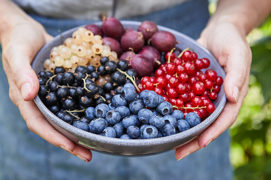 Hands holding a bowl of various fresh berries