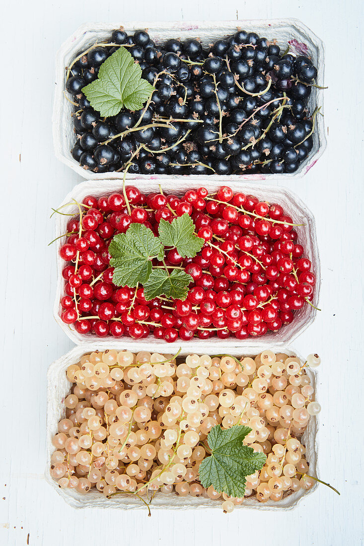Black, red and white currants in cardboard bowls