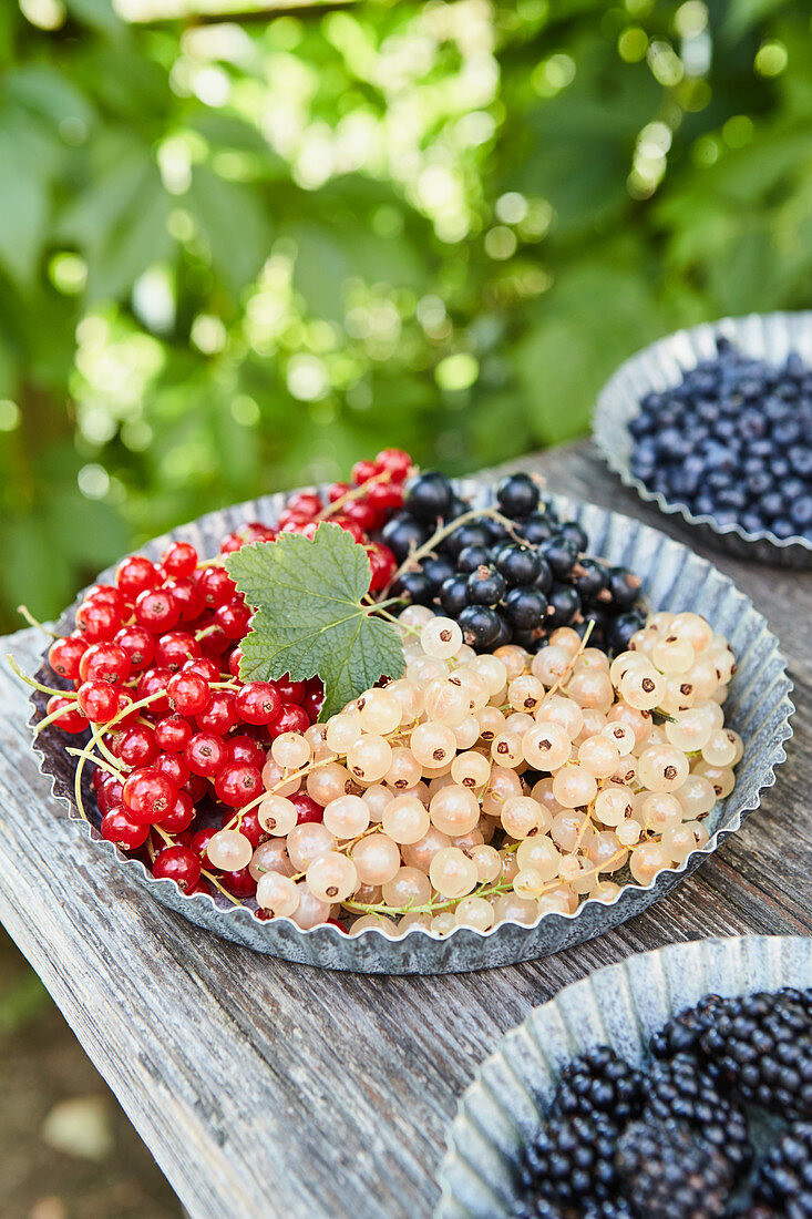 Red, black and white currants on an outdoor table