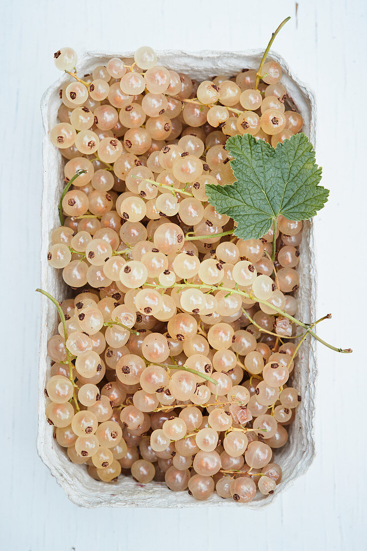 Frische weiße Johannisbeeren in Pappschale