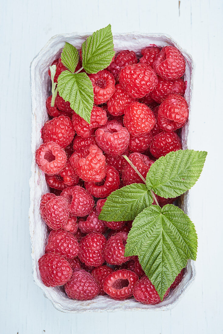 Fresh raspberries in a cardboard bowl