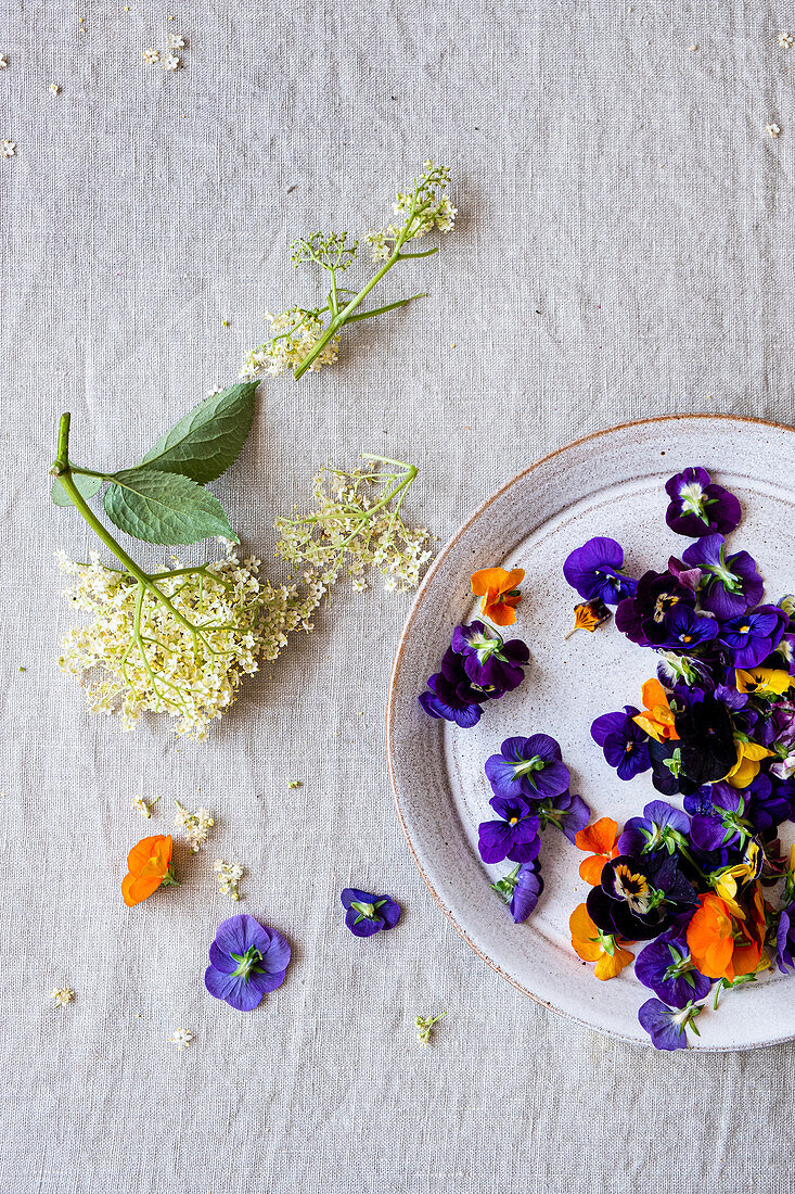 Elderberry flowers and violet on the table