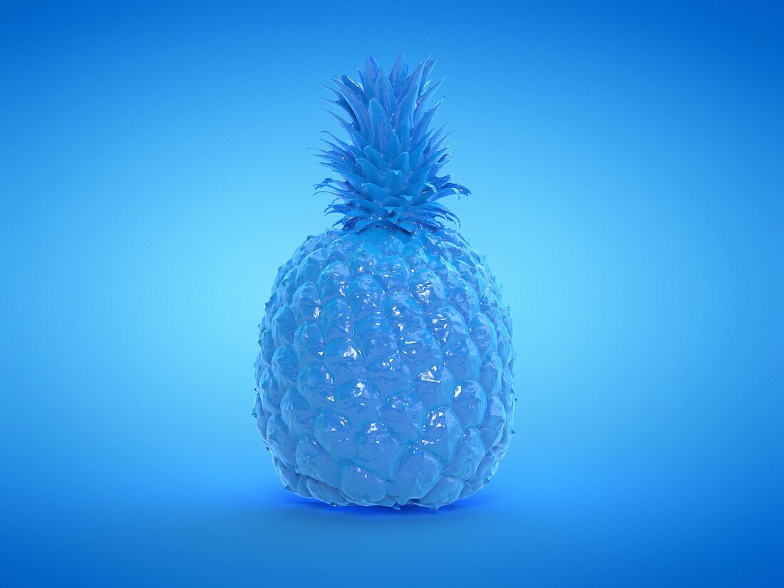 Pineapple, illustration