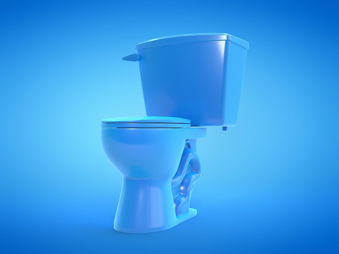 Toilet, illustration