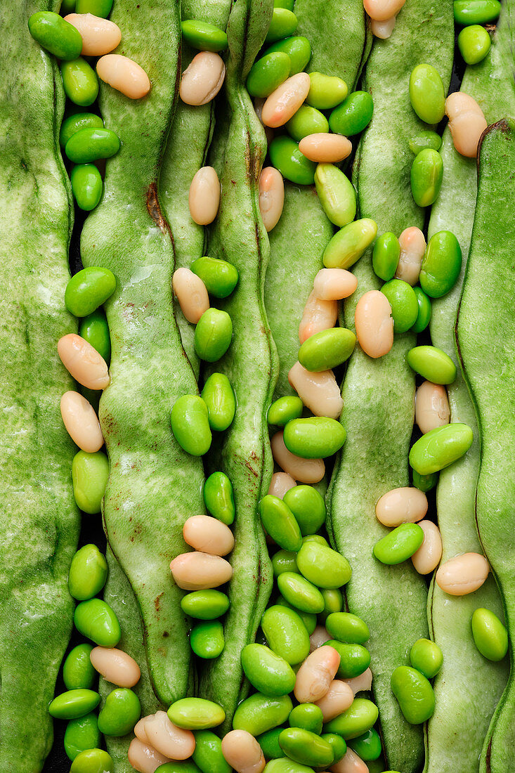 Breite Bohnen, Cannellini und Edamame