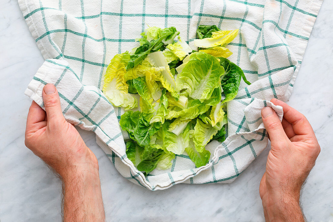 Salatblätter im Geschirrtuch trocknen