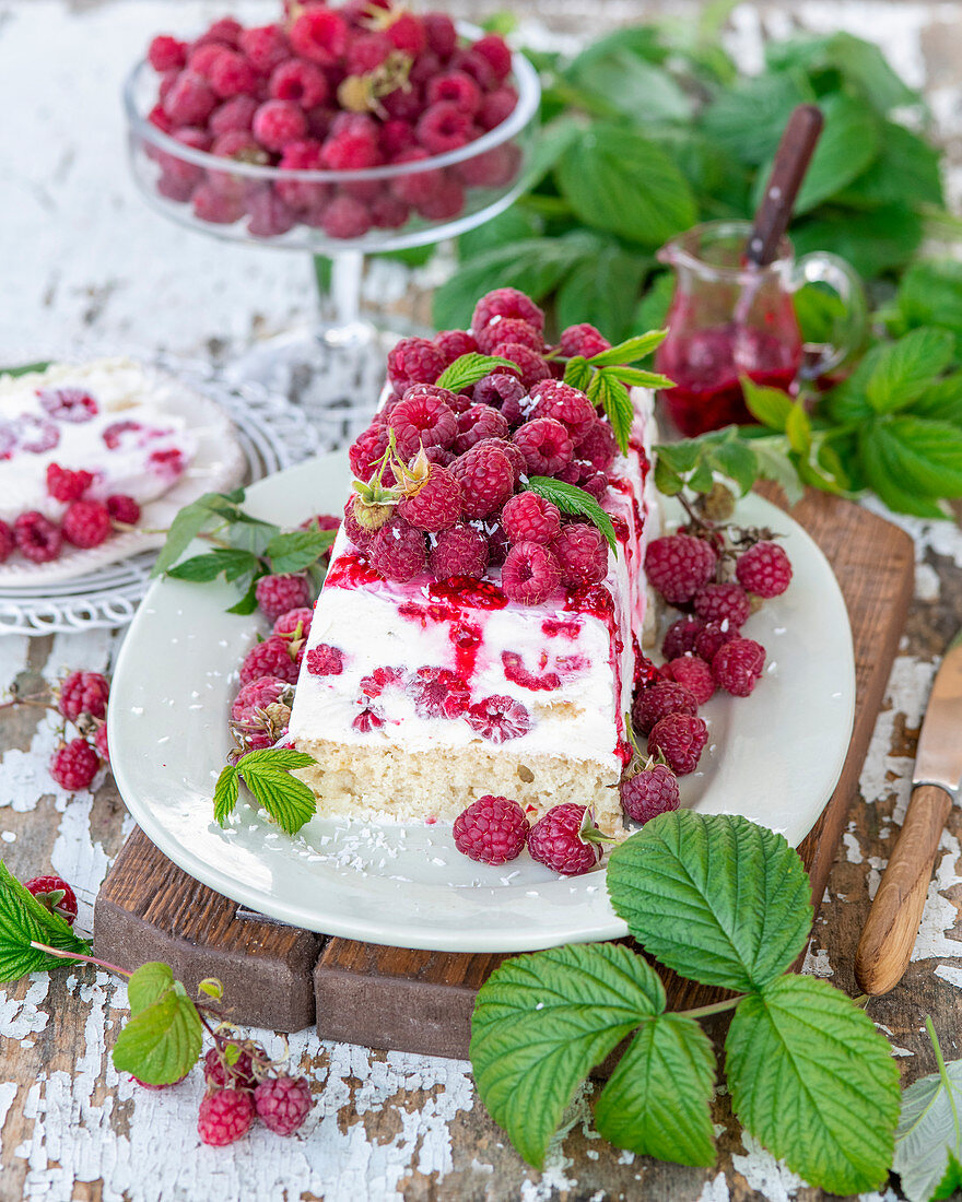 Frozen raspberry cottage cheese cake with vanilla sponge