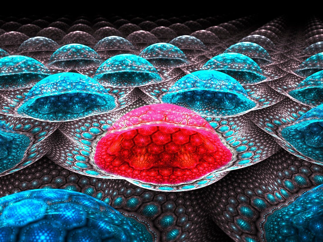 Cancer cell, fractal illustration