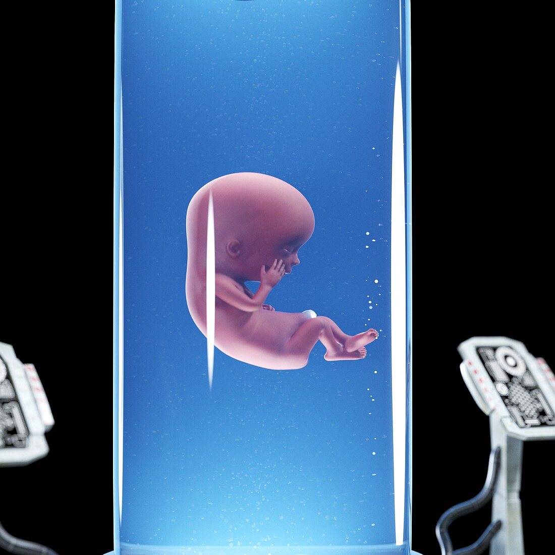Fetus in a tank, illustration