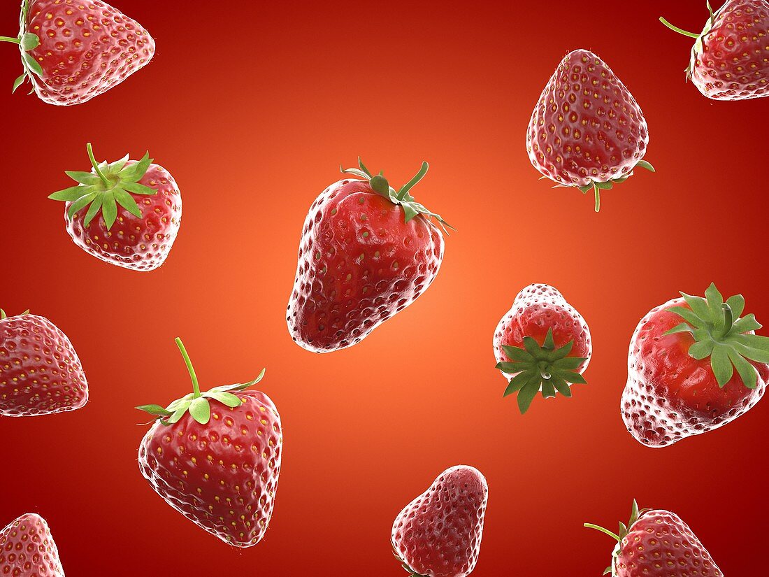 Strawberries, illustration