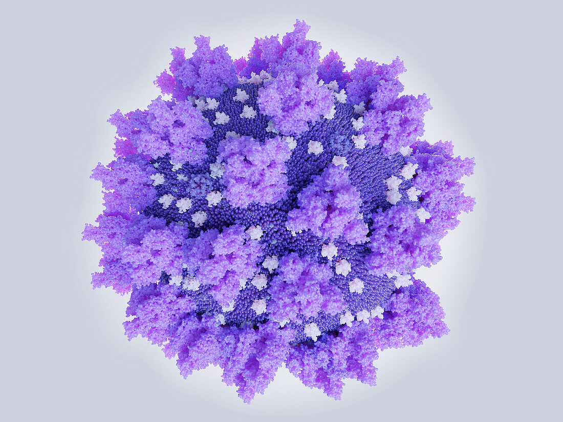 Covid-19 coronavirus particle, illustration