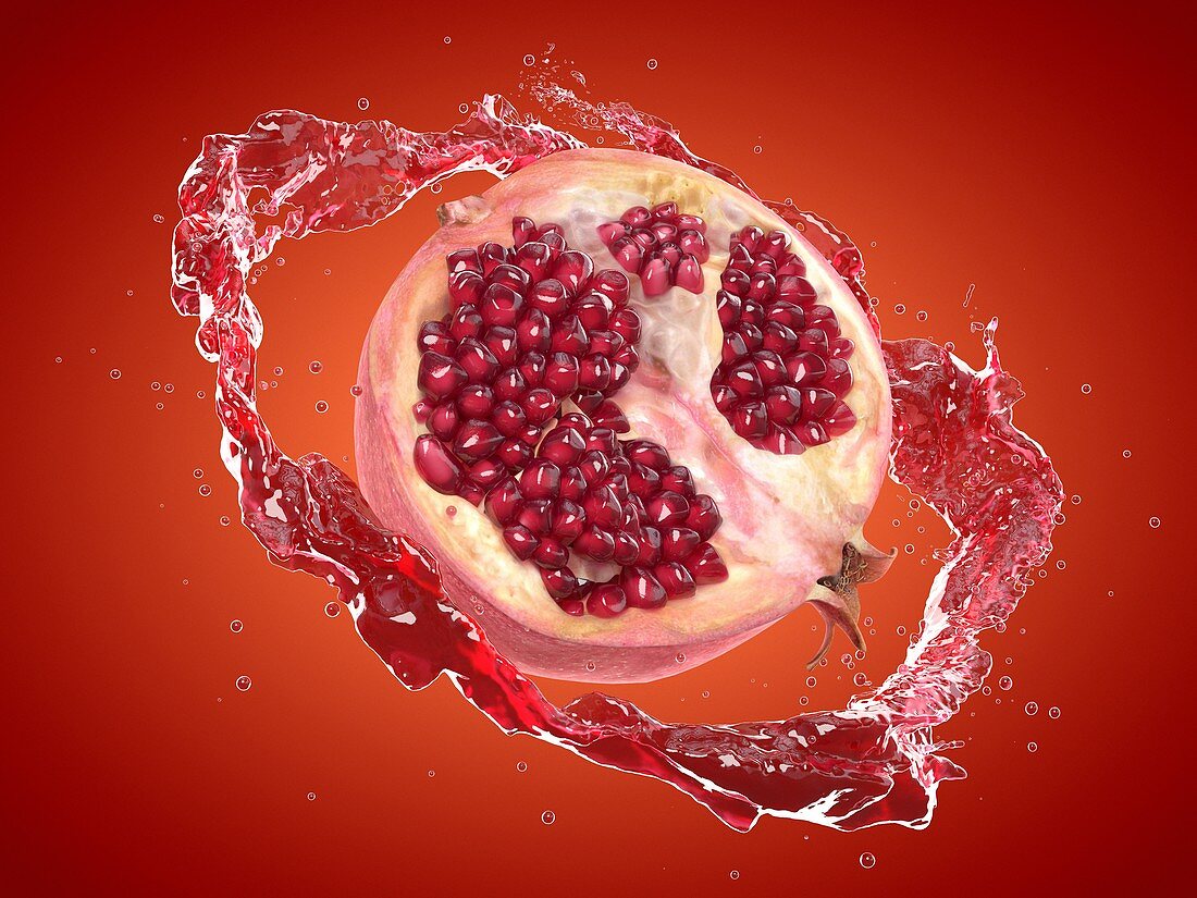 Pomegranate splash, illustration – Bild kaufen – 13195584 Science Photo ...