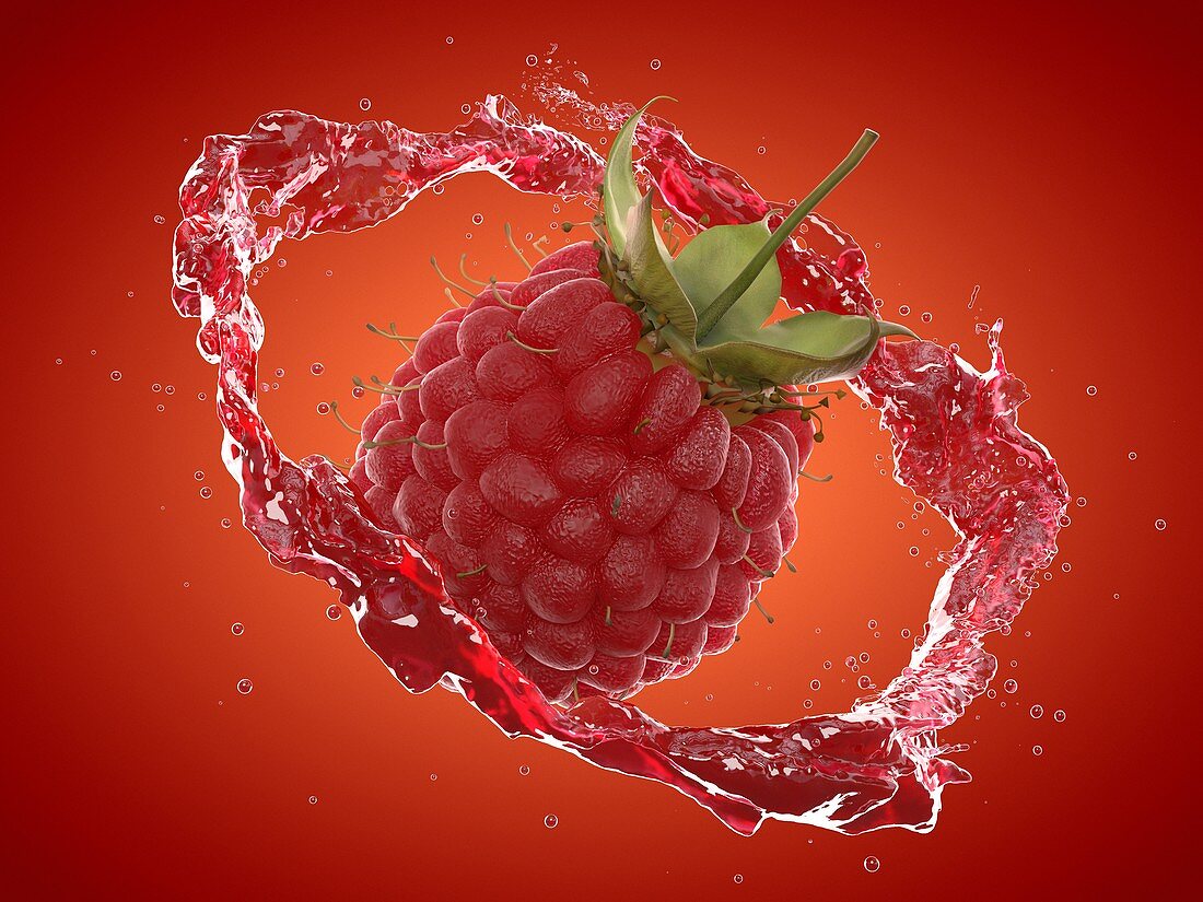 Raspberry splash, illustration