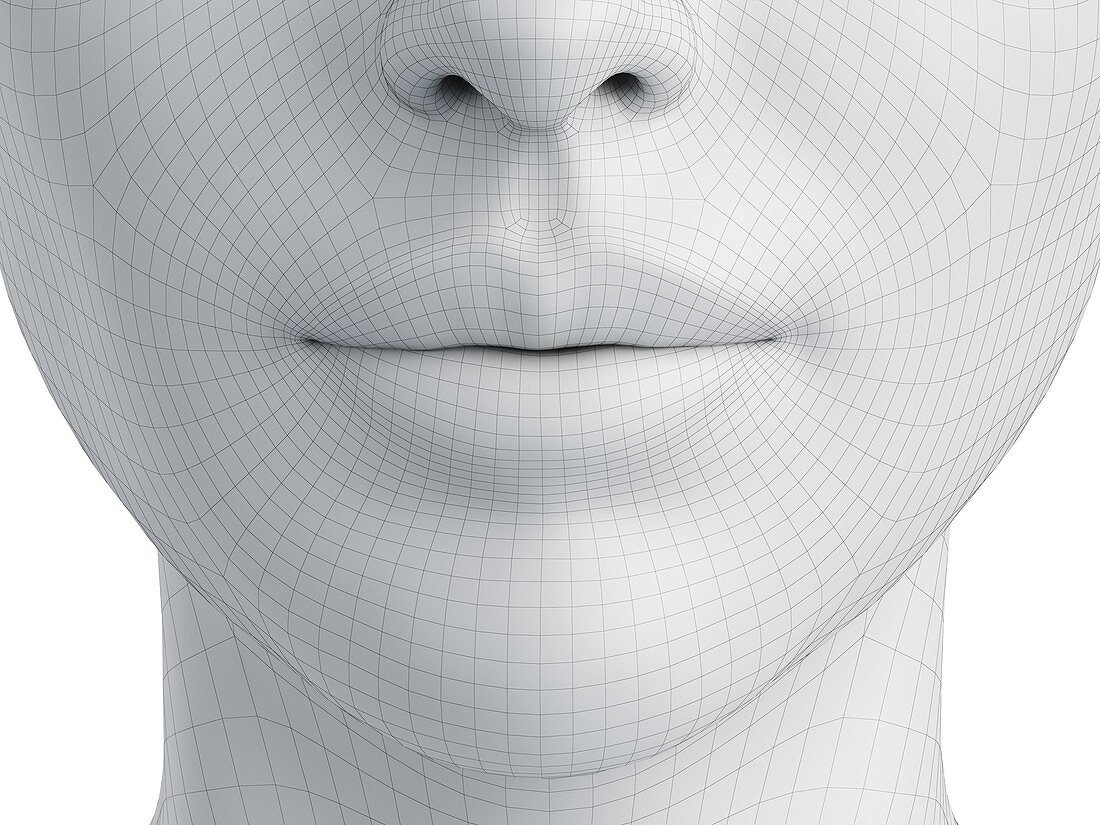 Wireframe mouth, illustration