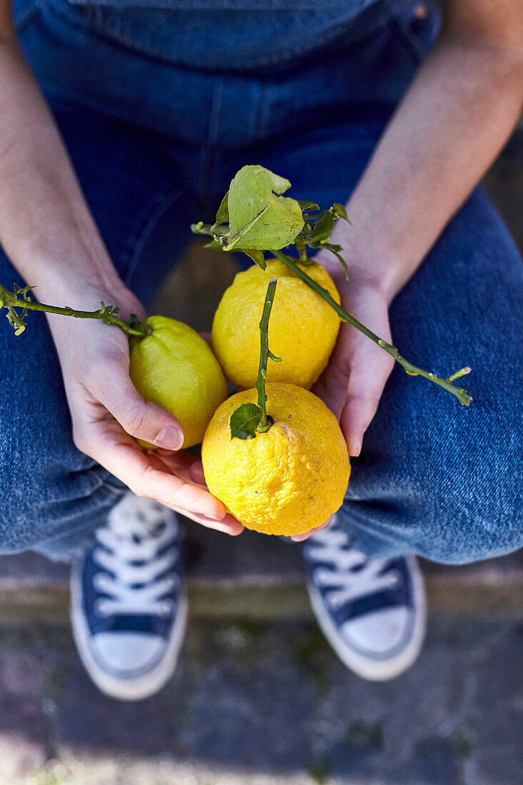 Hands holding big lemons