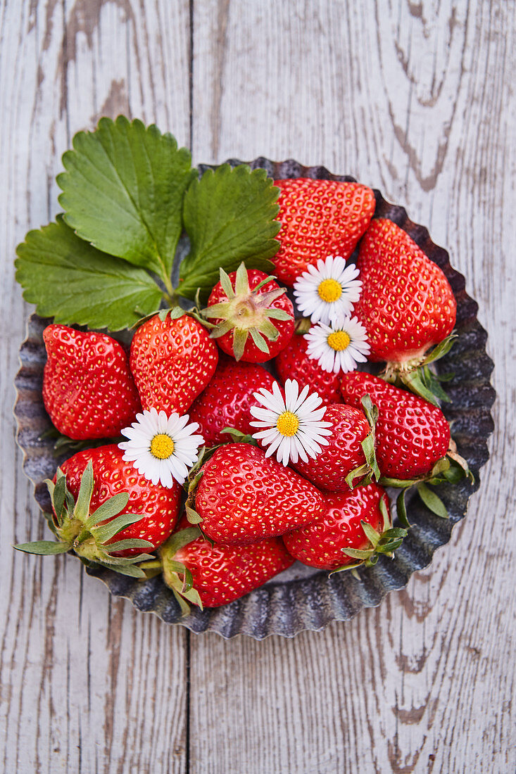 Fresh strawberries with daisies in a baking pan