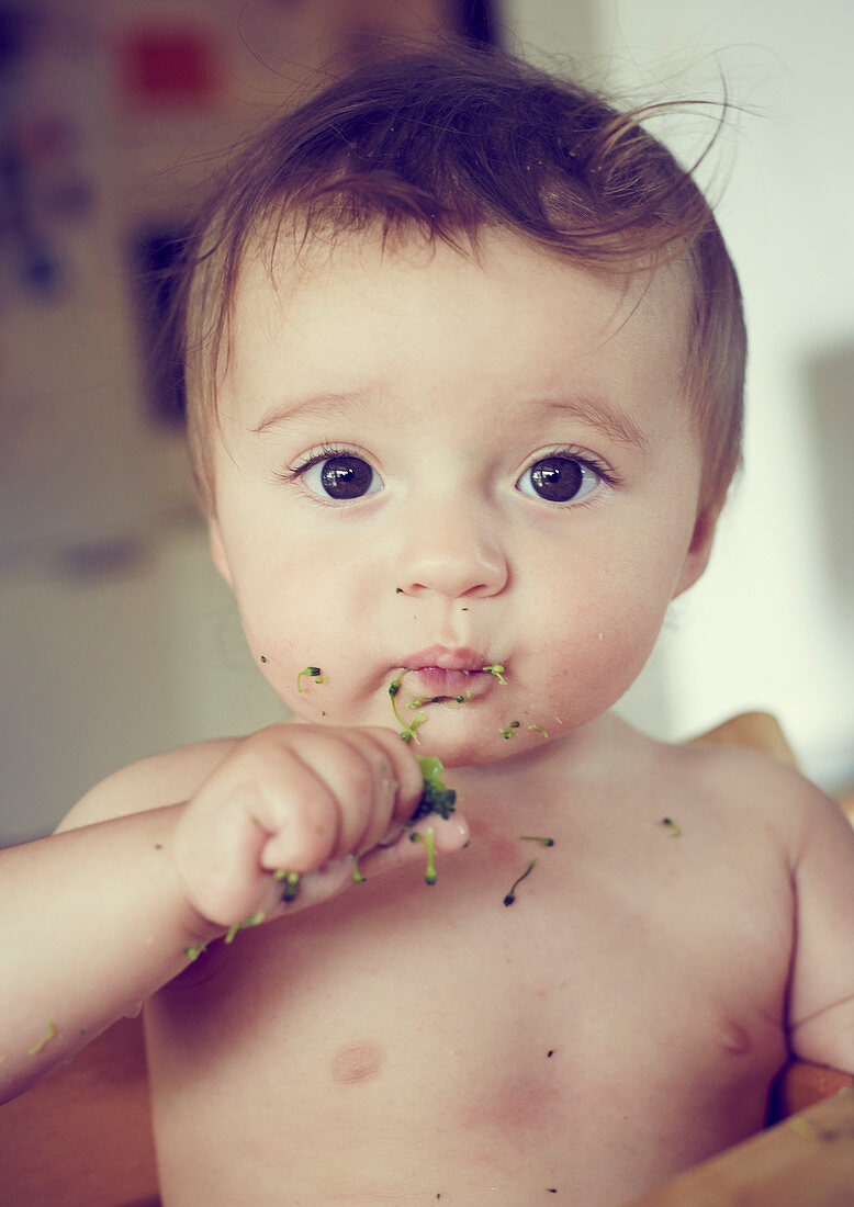 Toddler eats broccoli