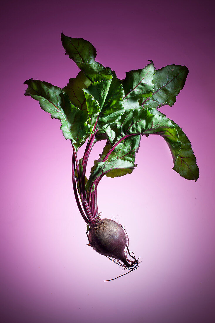 A beetroot