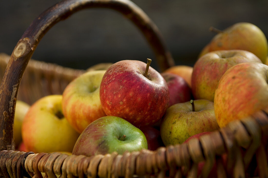 Various types of apples in basket