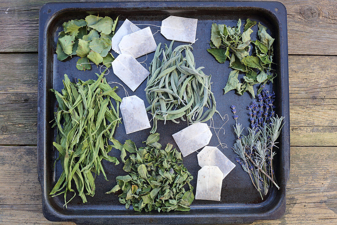 Tea bags and dried herbs on a baking sheet