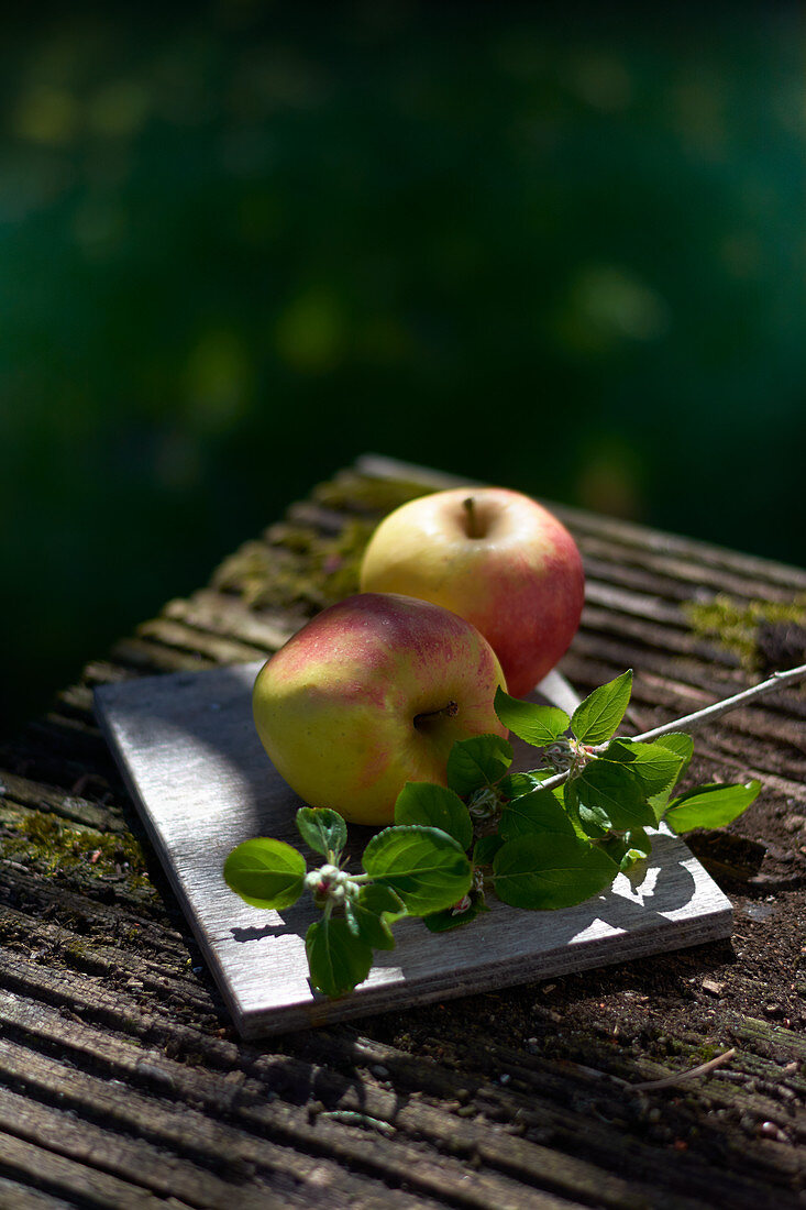 Zwei Äpfel mit Blätterzweig auf Holztisch im Freien