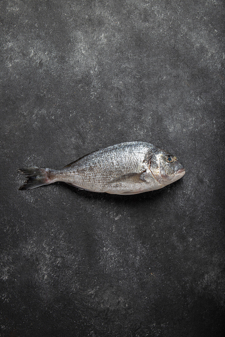 Uncooked sea bream or dorada