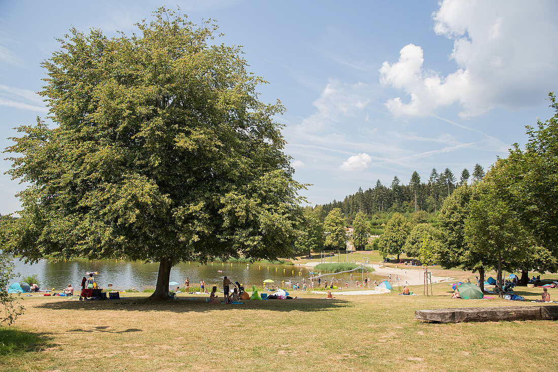 Losheim Lake, Saarland, Germany