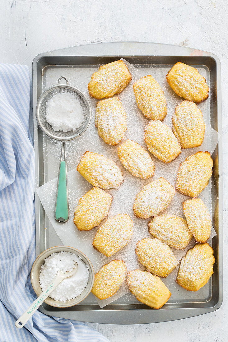 Madeleines