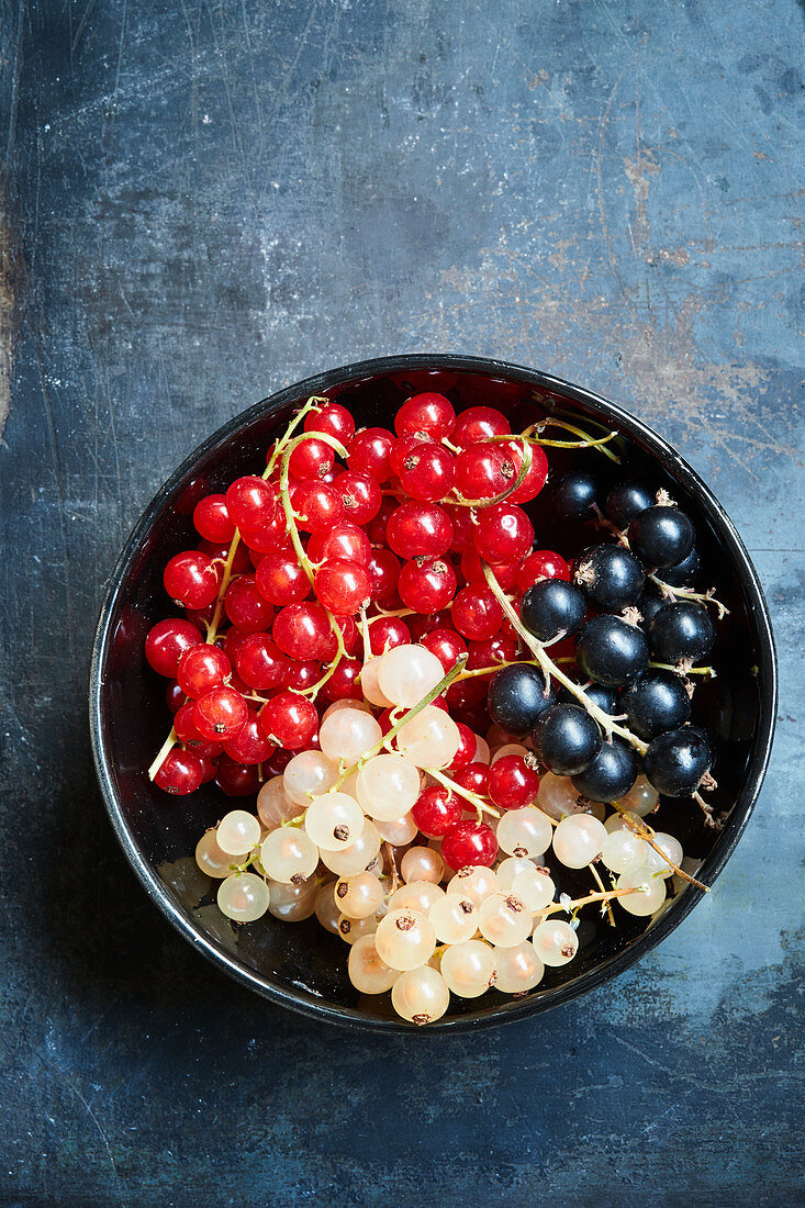 Currants in three colors