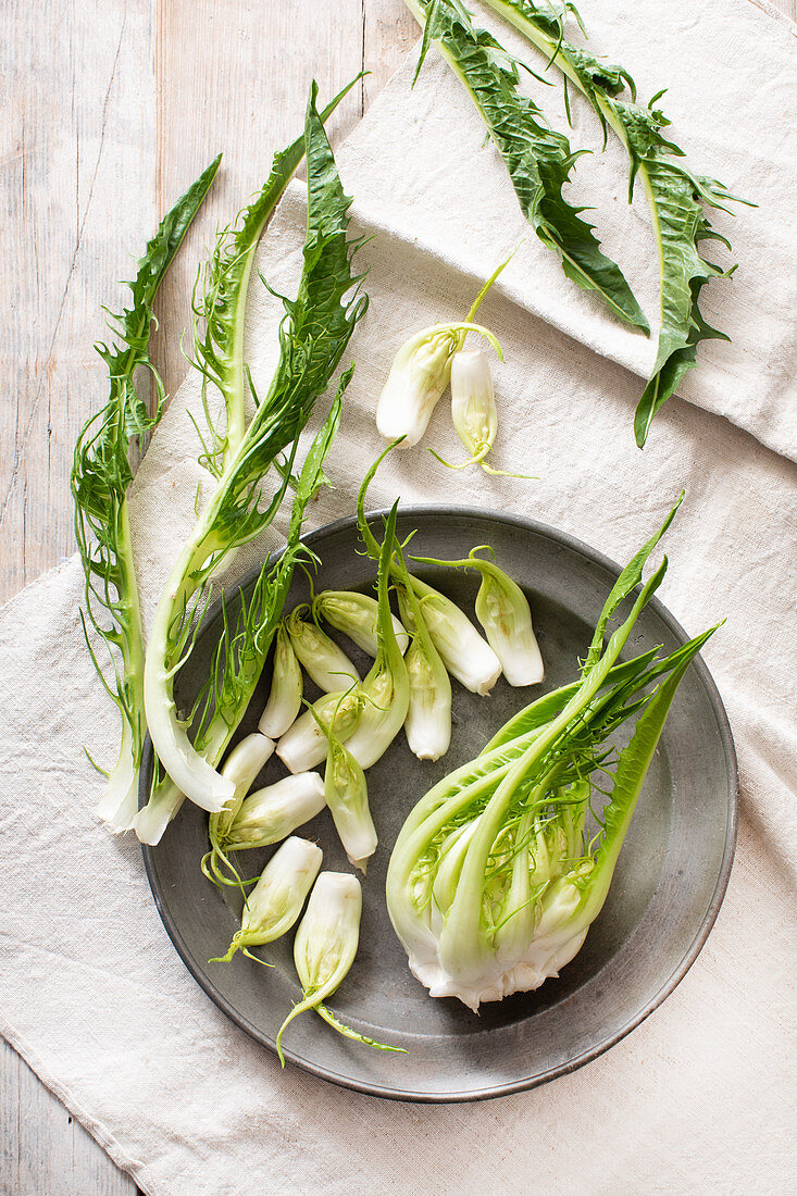 Cimata (volcanic asparagus or puntarelle) from Puglia