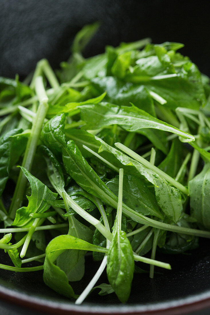 Salad from green arugula leaves served in bowl