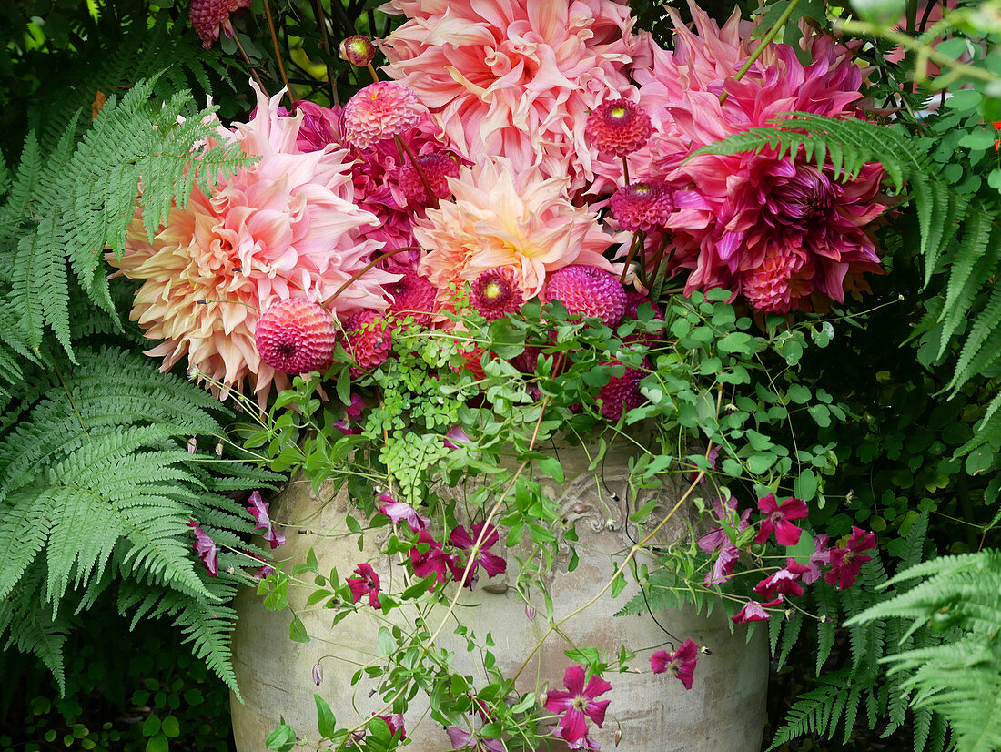 Summer bouquet of dahlias surrounded by clematis and ferns