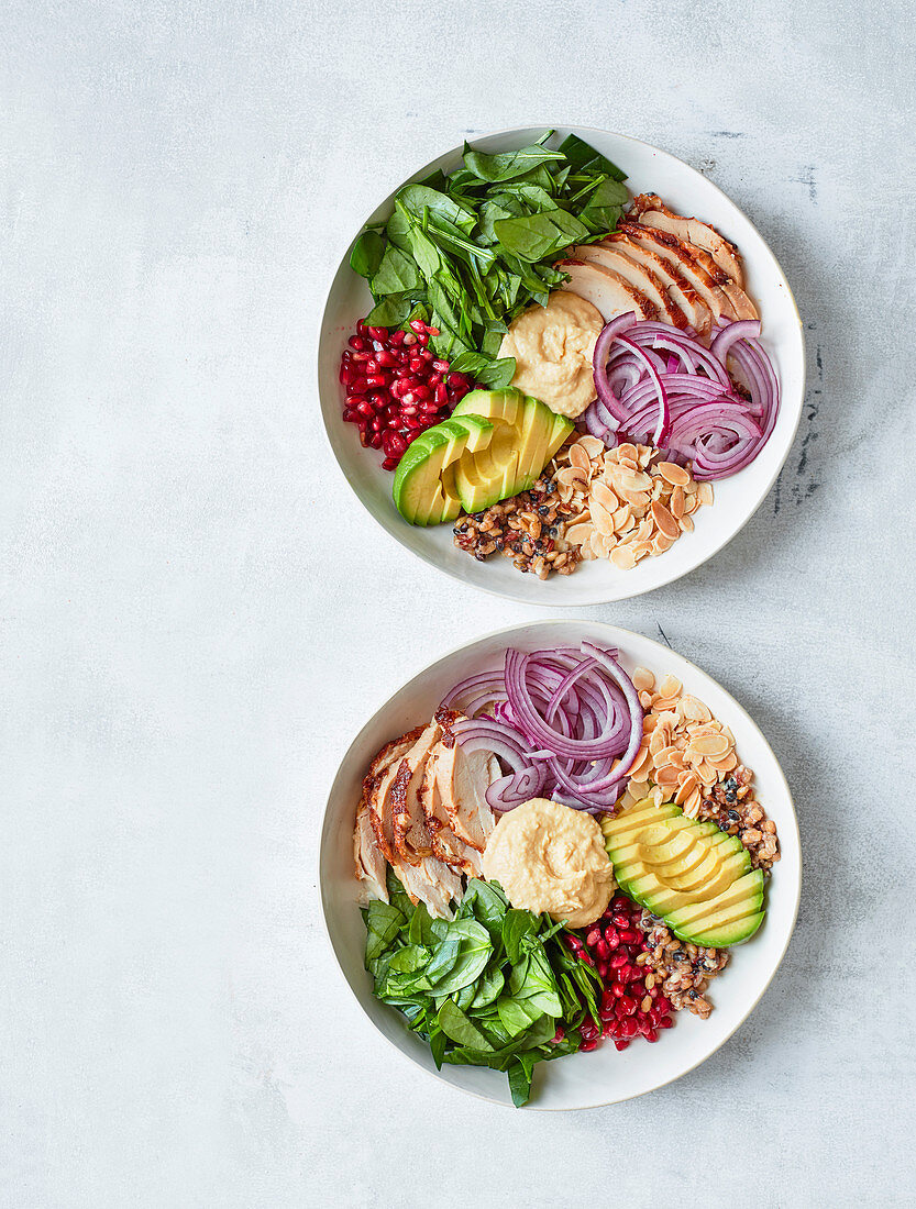 Buddha-Bowl mit Hühnchen und Hummus