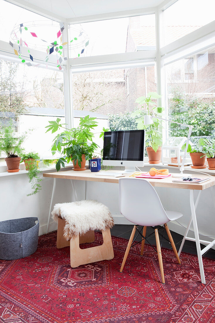 Desk, houseplants and red rug in window bay