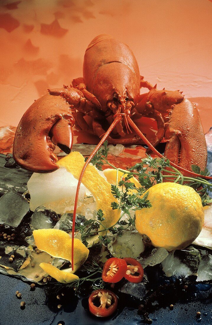 Boiled Lobster on Ice with a Lemon and Lemon Peels