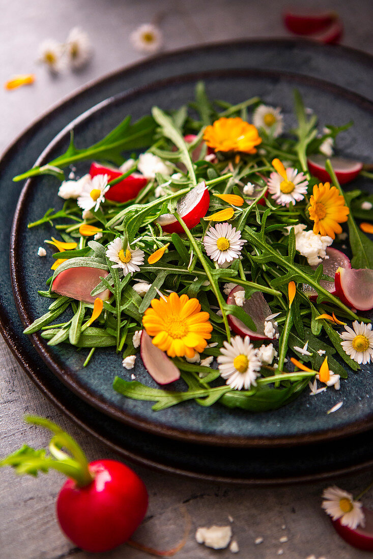 Arugula salad with daisies and radishes