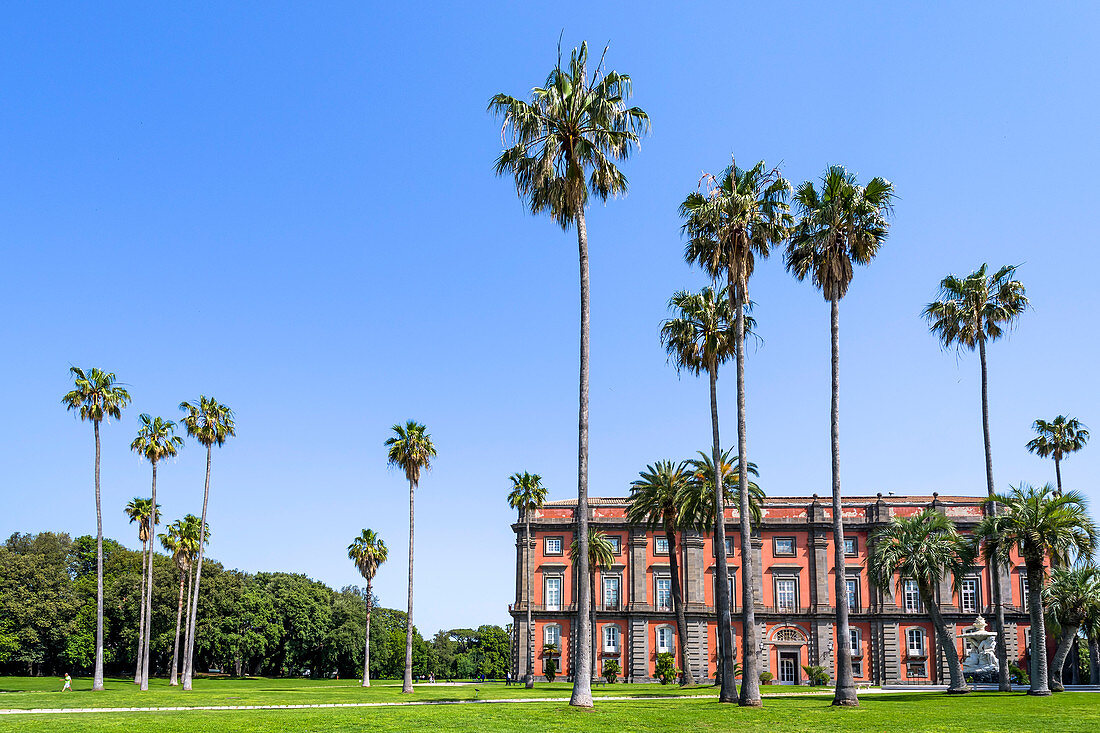 Museo di Capodimonte, Neapel, Italien