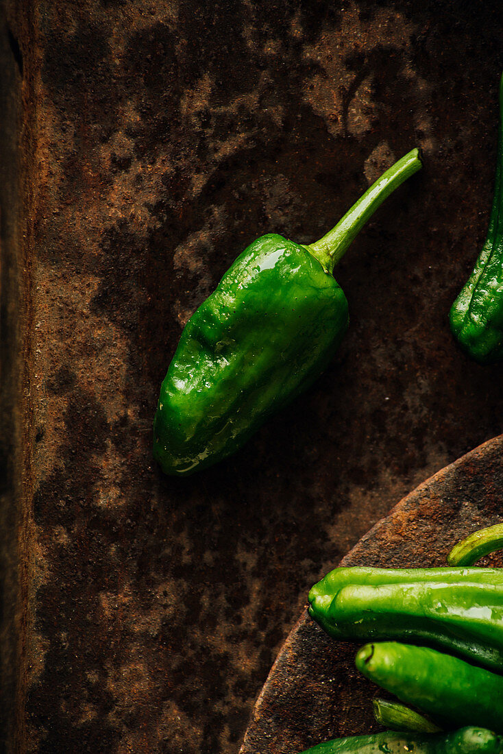 Fresh green pimientos de padron