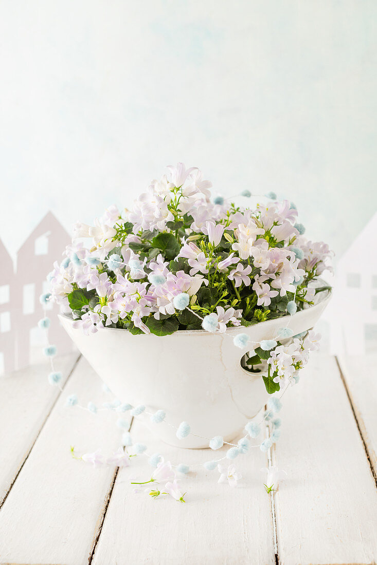 Pink campanula in bowl decorated with string of pompoms